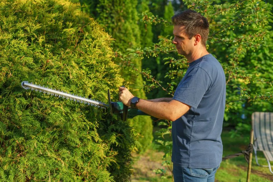 Jardin remis au propre apres intervention